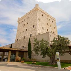 Hotel de la Bodega de Pago de Cirsus