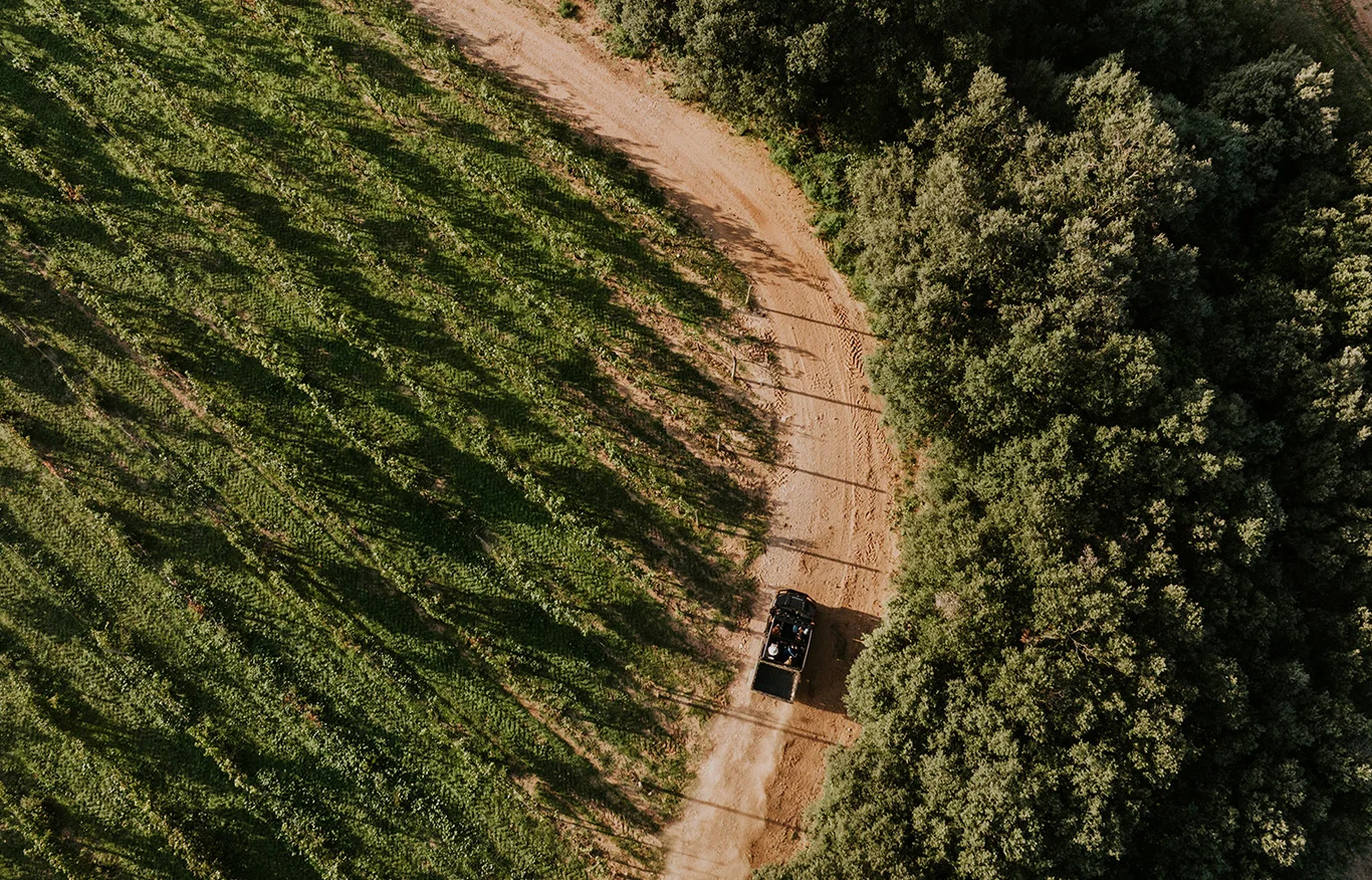 Vista aérea de los viñedos de la Bodega Arínzano