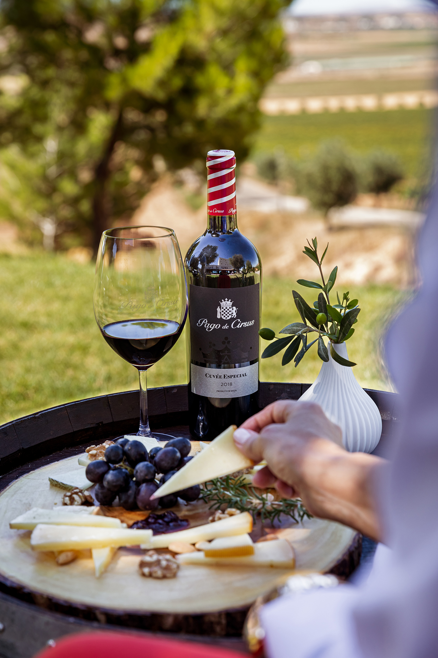 Picnic en el viñedo de la Bodega Pago de Cirsus