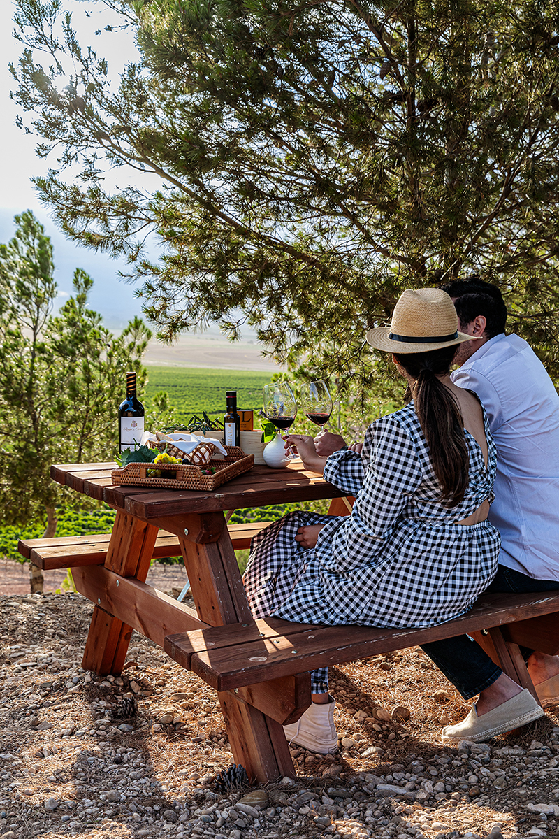 Pareja disfrutando de un picnic en el viñedo de la Bodega Pago de Cirsus